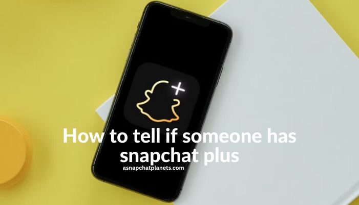 how to tell if someone has snapchat plus
